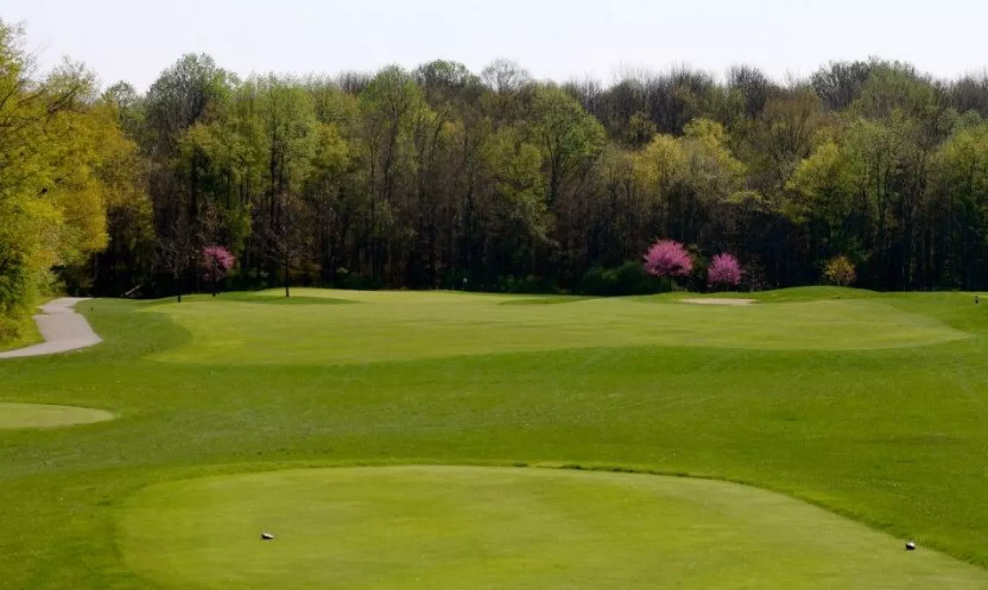 Eagle Creek Golf Club - Sycamore Course - hole 12