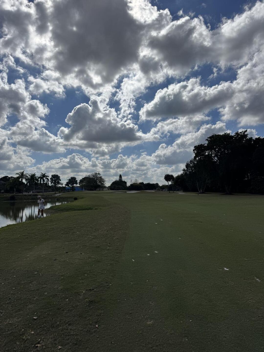 (Photo submitted by Zlatte71 on 01/06/2026)