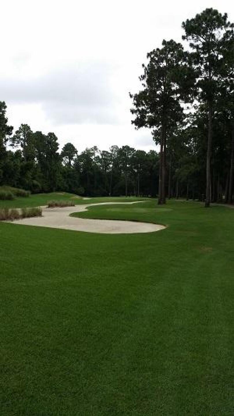 (Photo submitted by rsmy123 on 07/13/2014)