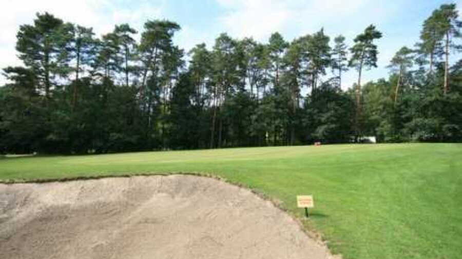 British Army GC Sennelager - Forest Pine: #2
