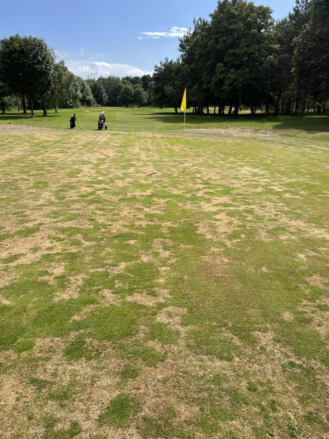 (Photo submitted by alainwolves on 07/08/2023)