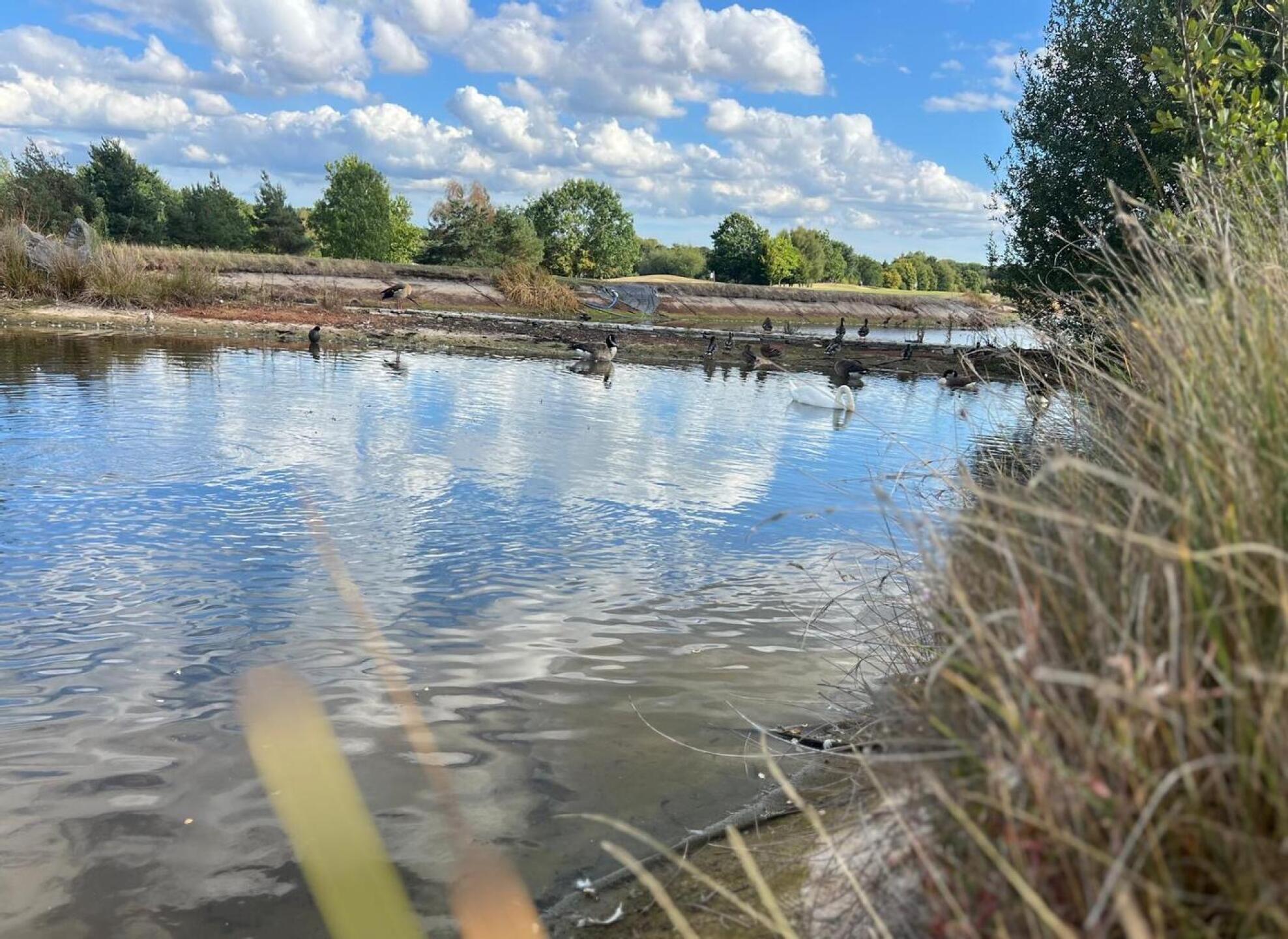 (Photo submitted by Bisley3x40 on 08/17/2025)