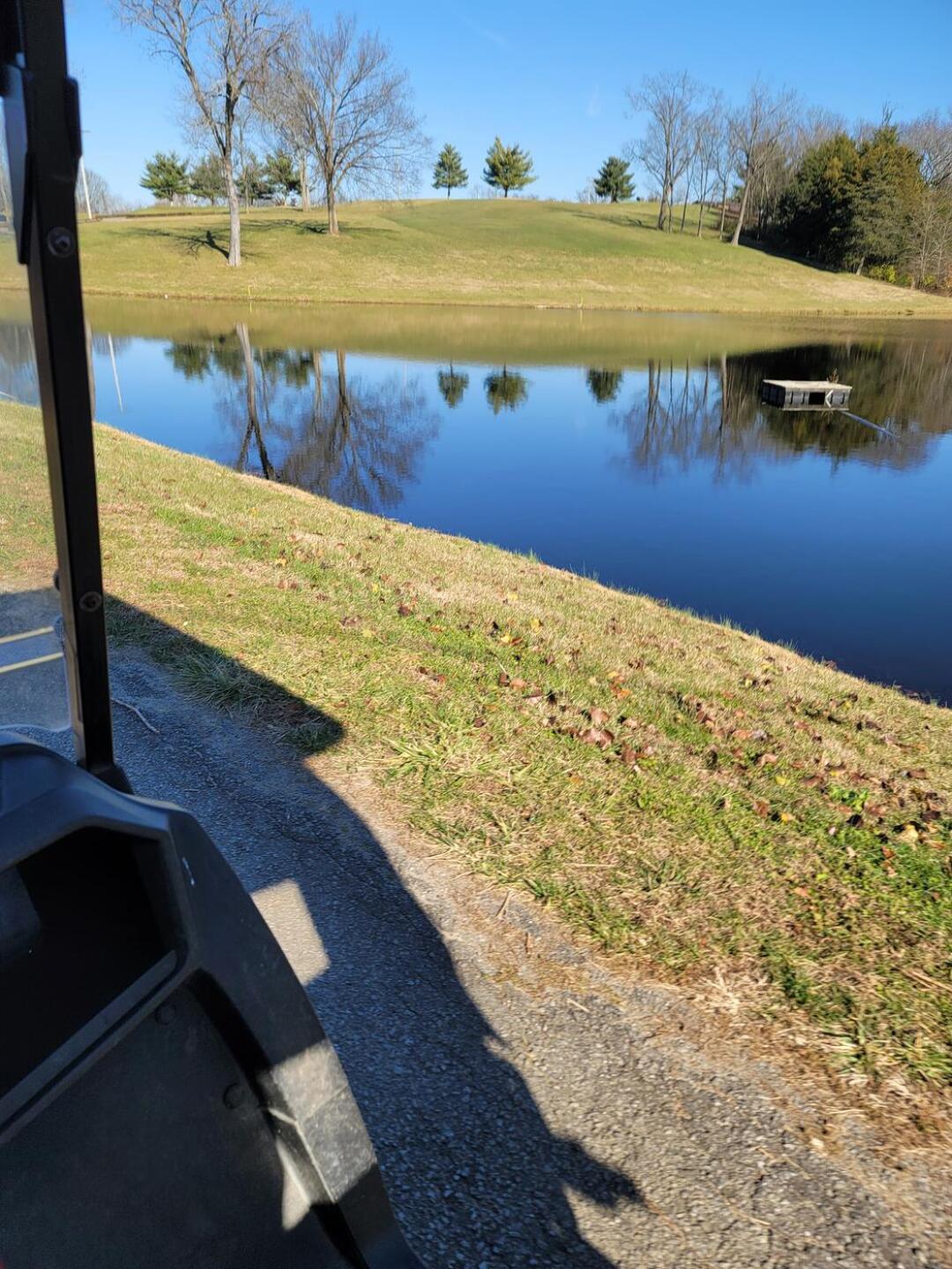 Carry me? (Photo submitted by Airantisubron24 on 12/06/2021)