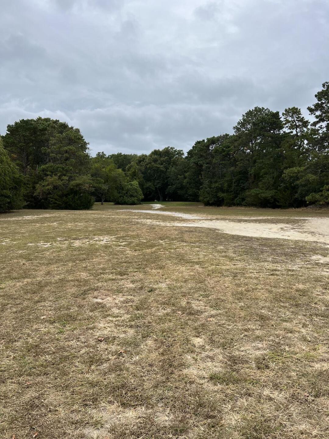 (Photo submitted by u023879692 on 09/23/2024)