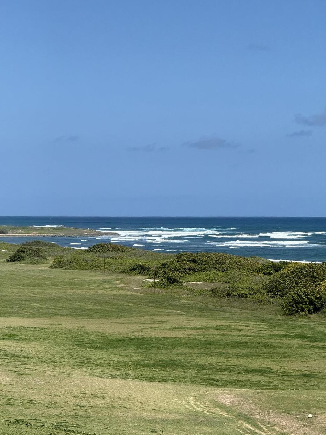 (Photo submitted by 2NuFSYDcN3QqLKyQk6Zw on 06/10/2025)