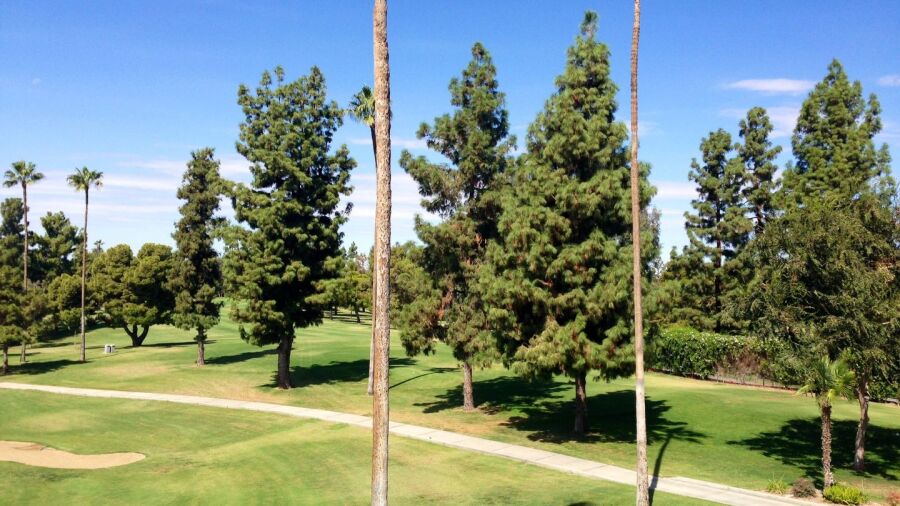 Bakersfield CC