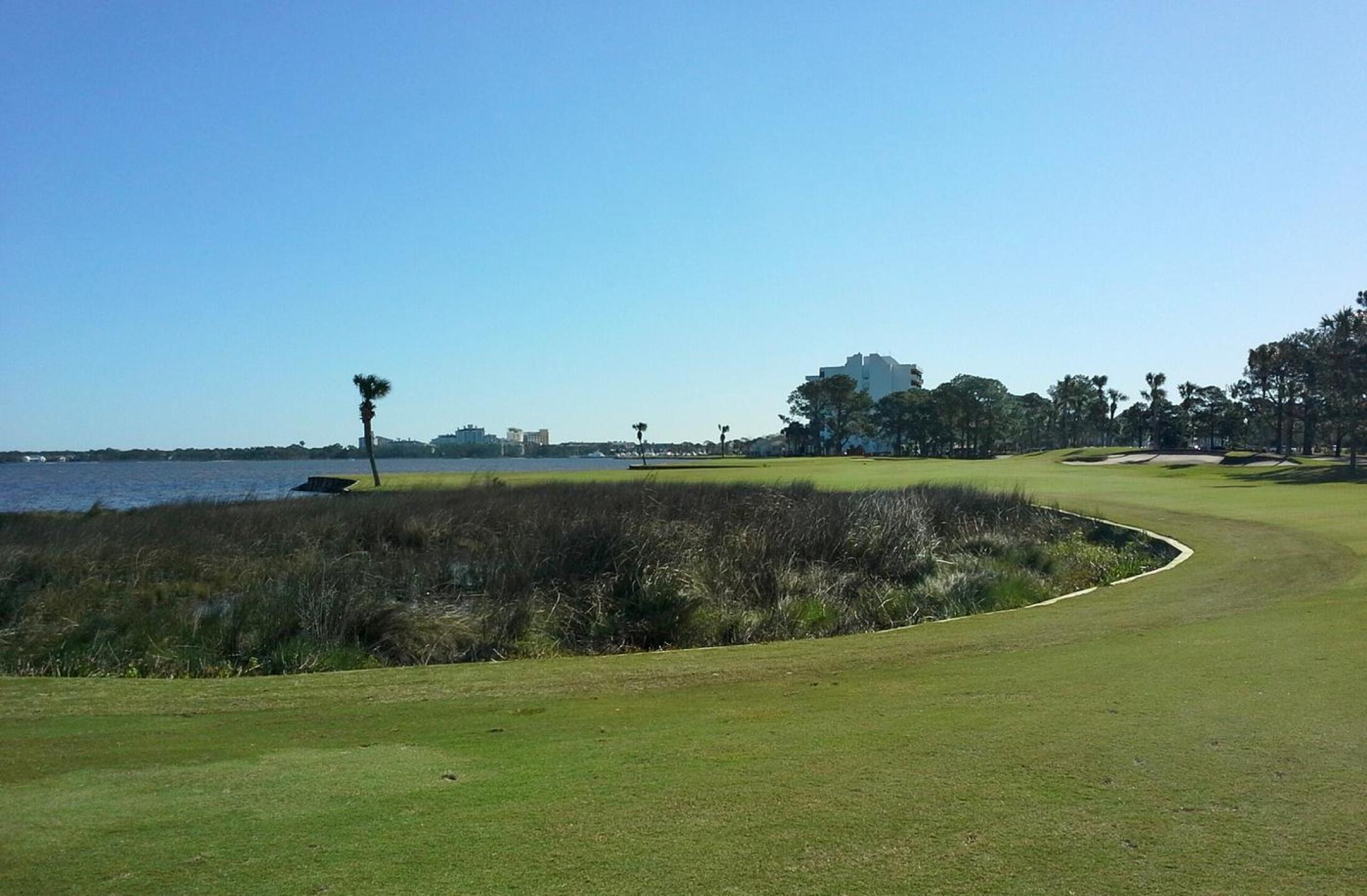 (Photo submitted by manu1964 on 02/29/2020)