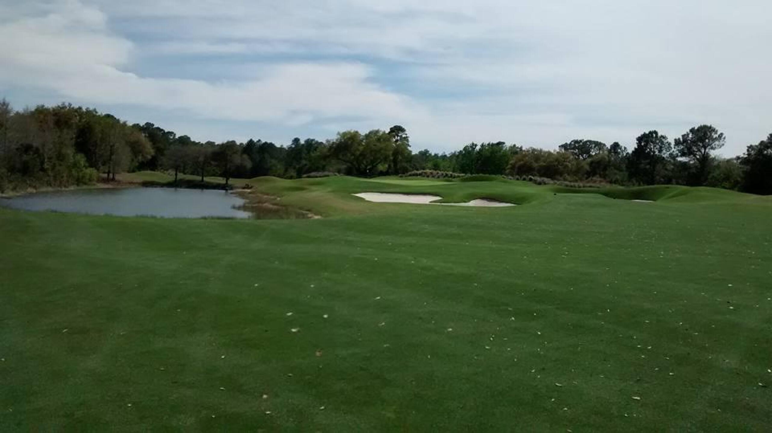 (Photo submitted by Ernest1975 on 03/26/2016)