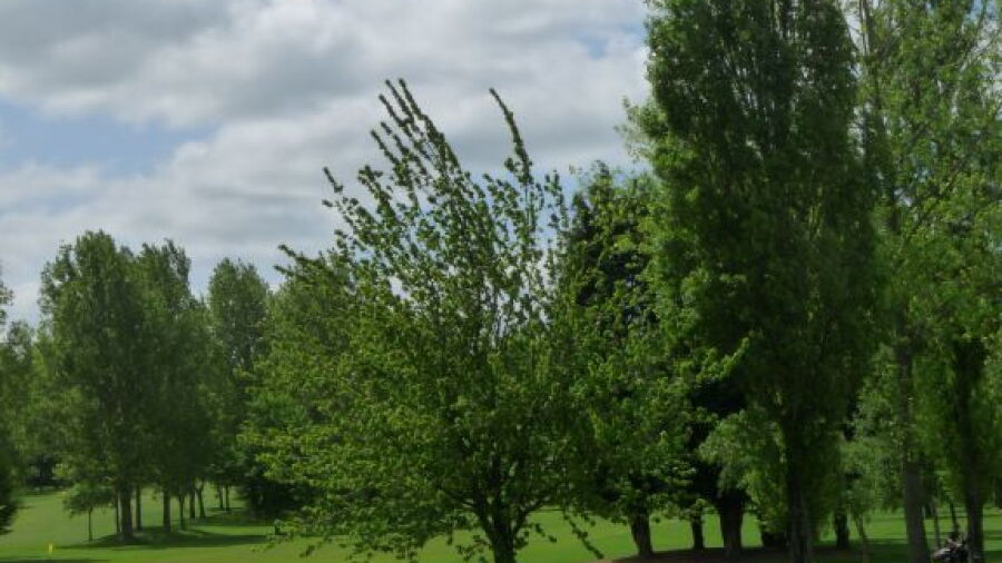 Windmill Hill GC