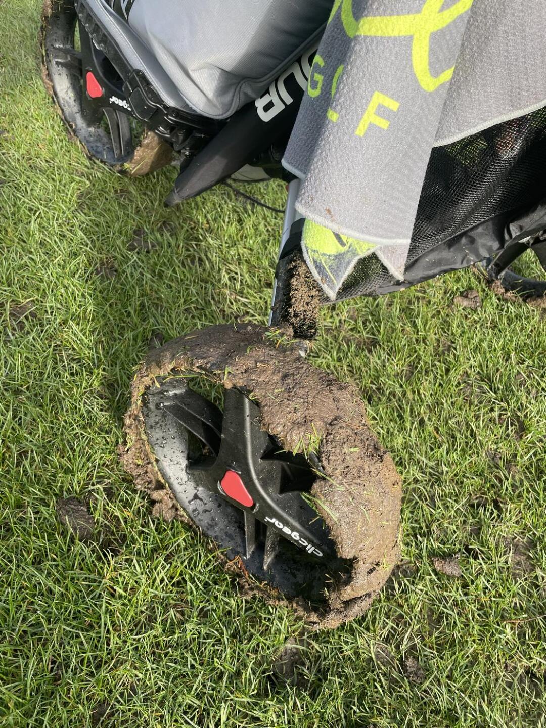 (Photo submitted by u314160614007 on 03/25/2024)