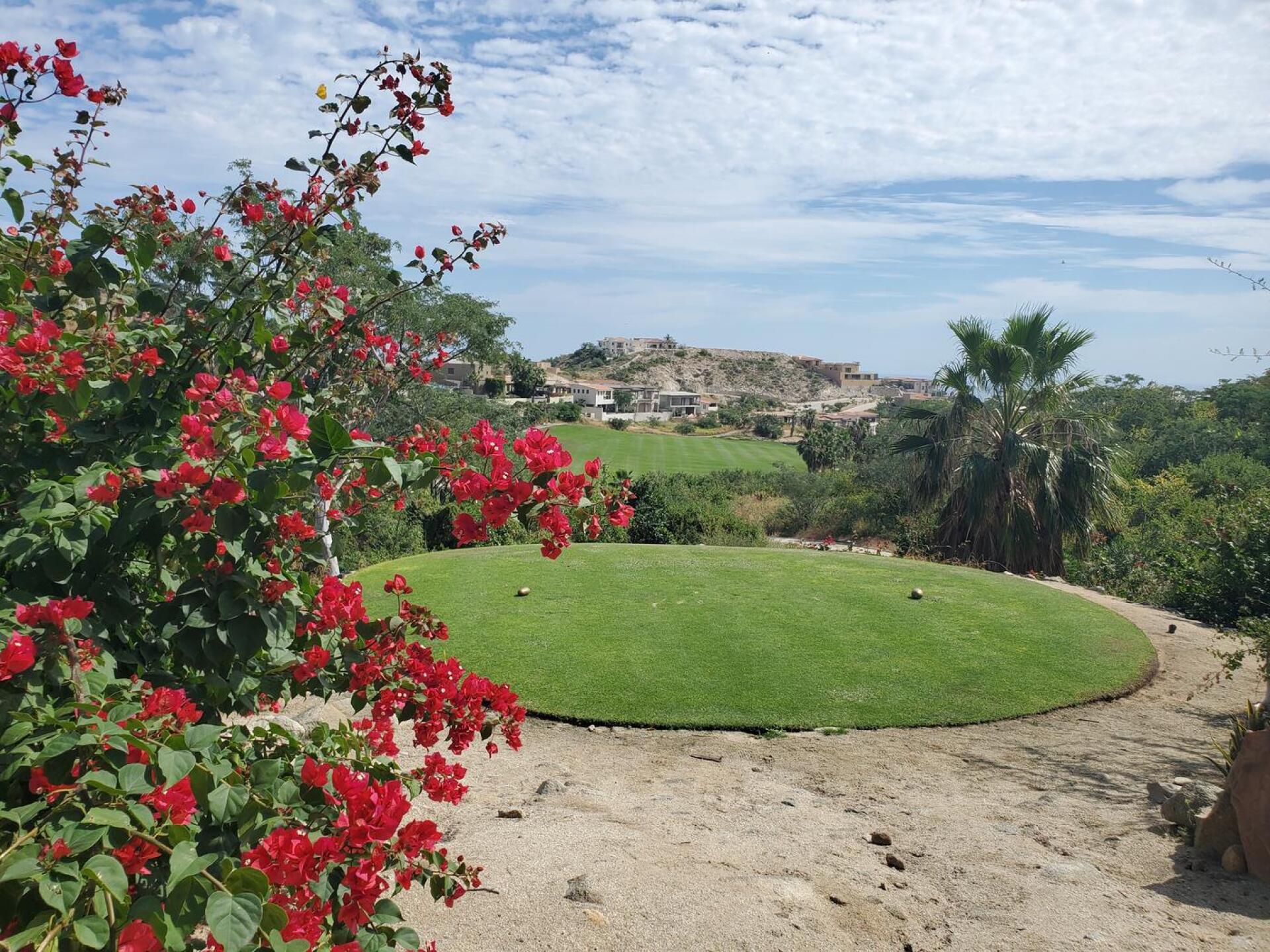 Gorgeous tee areas! (Photo submitted by u314162325494 on 11/10/2021)