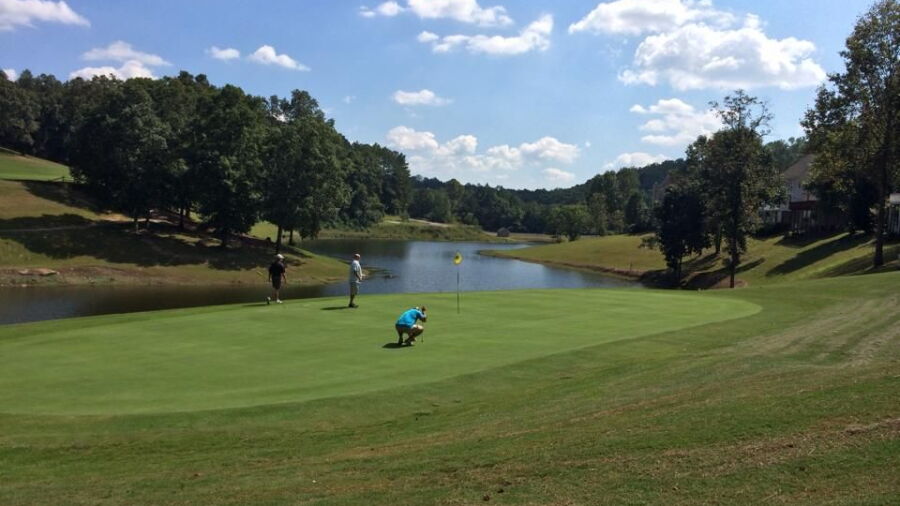 Terri Pines CC
