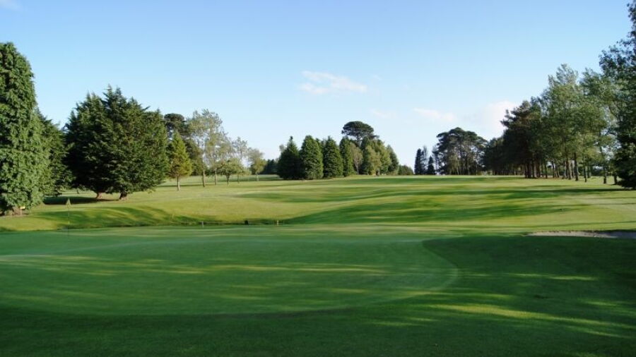 New Ross GC: #16