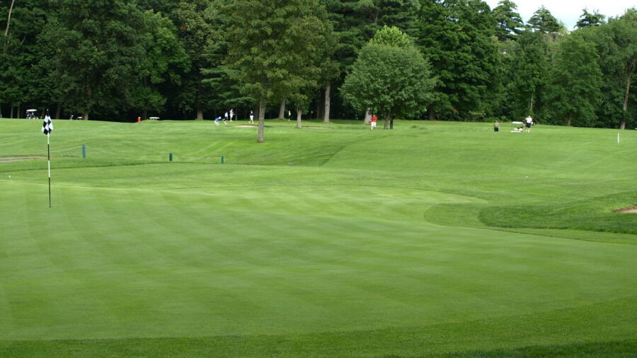 Northampton CC