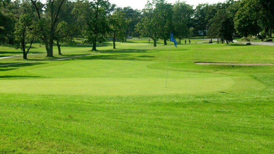 Lincoln Oaks GC: #6