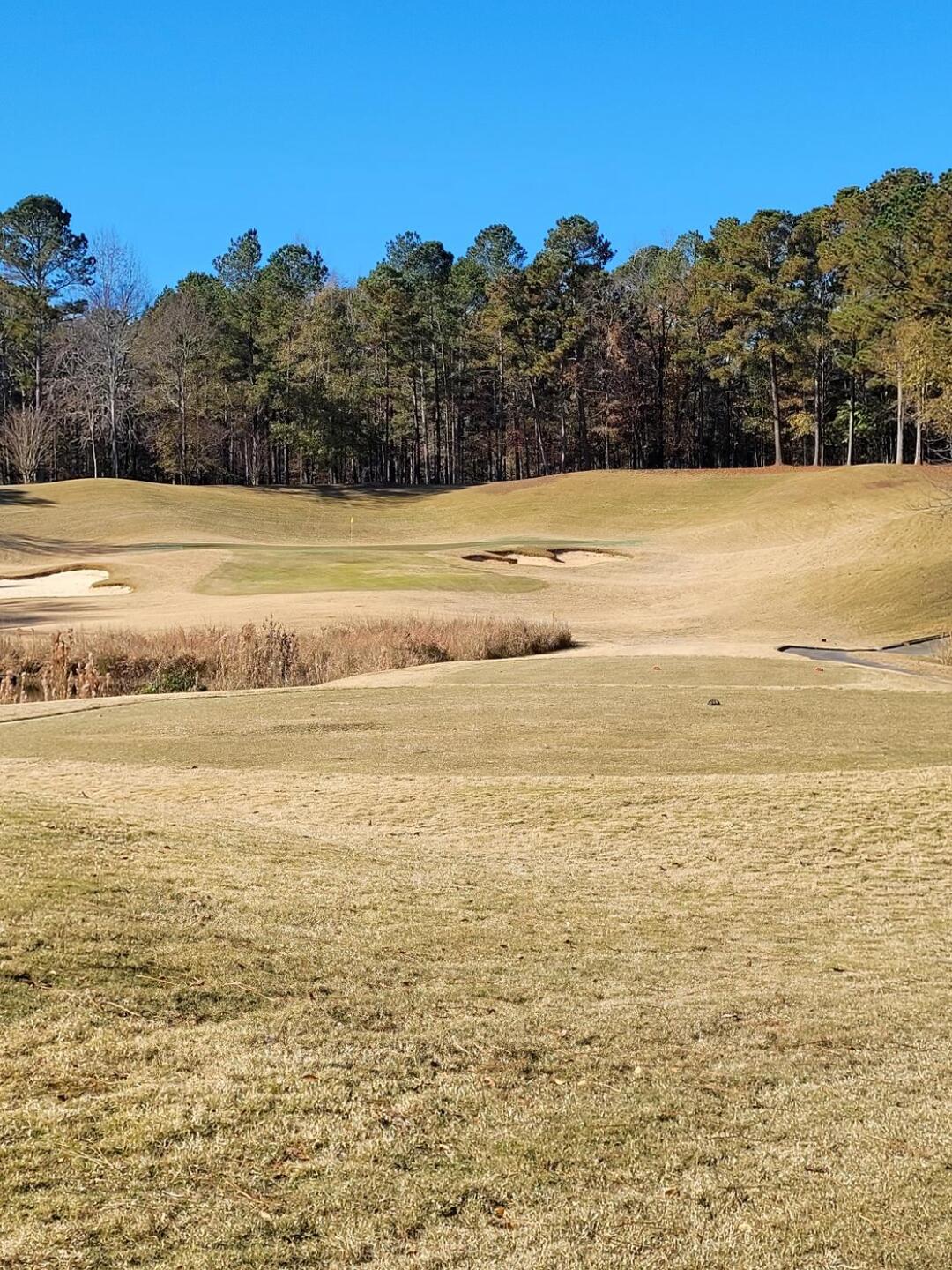 (Photo submitted by jimhgolfer on 11/30/2021)