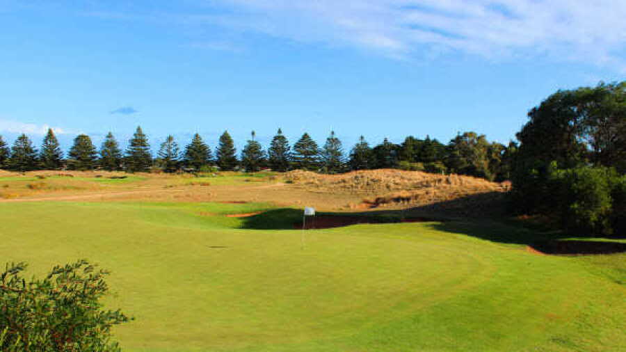 Links Lady Bay GC: #8