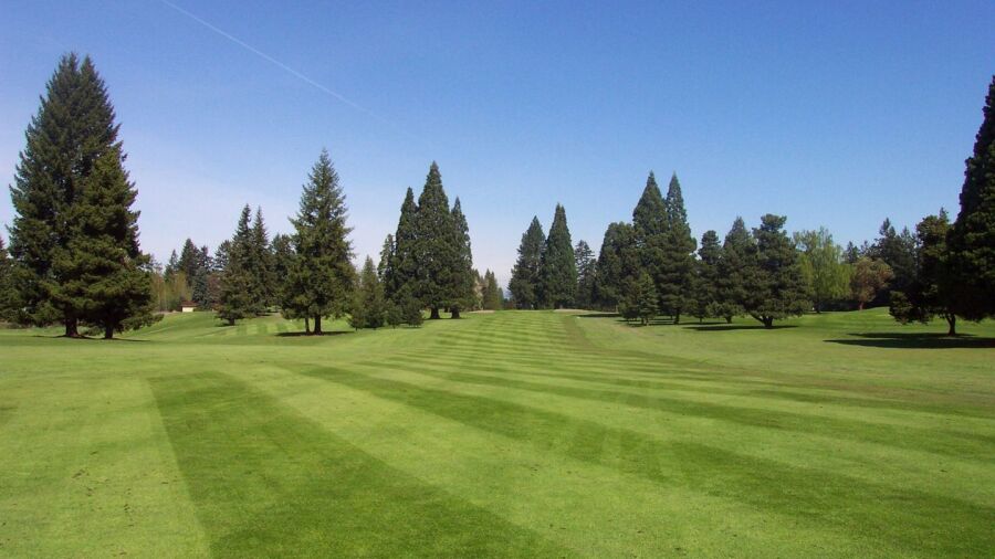 Forest Hills CC