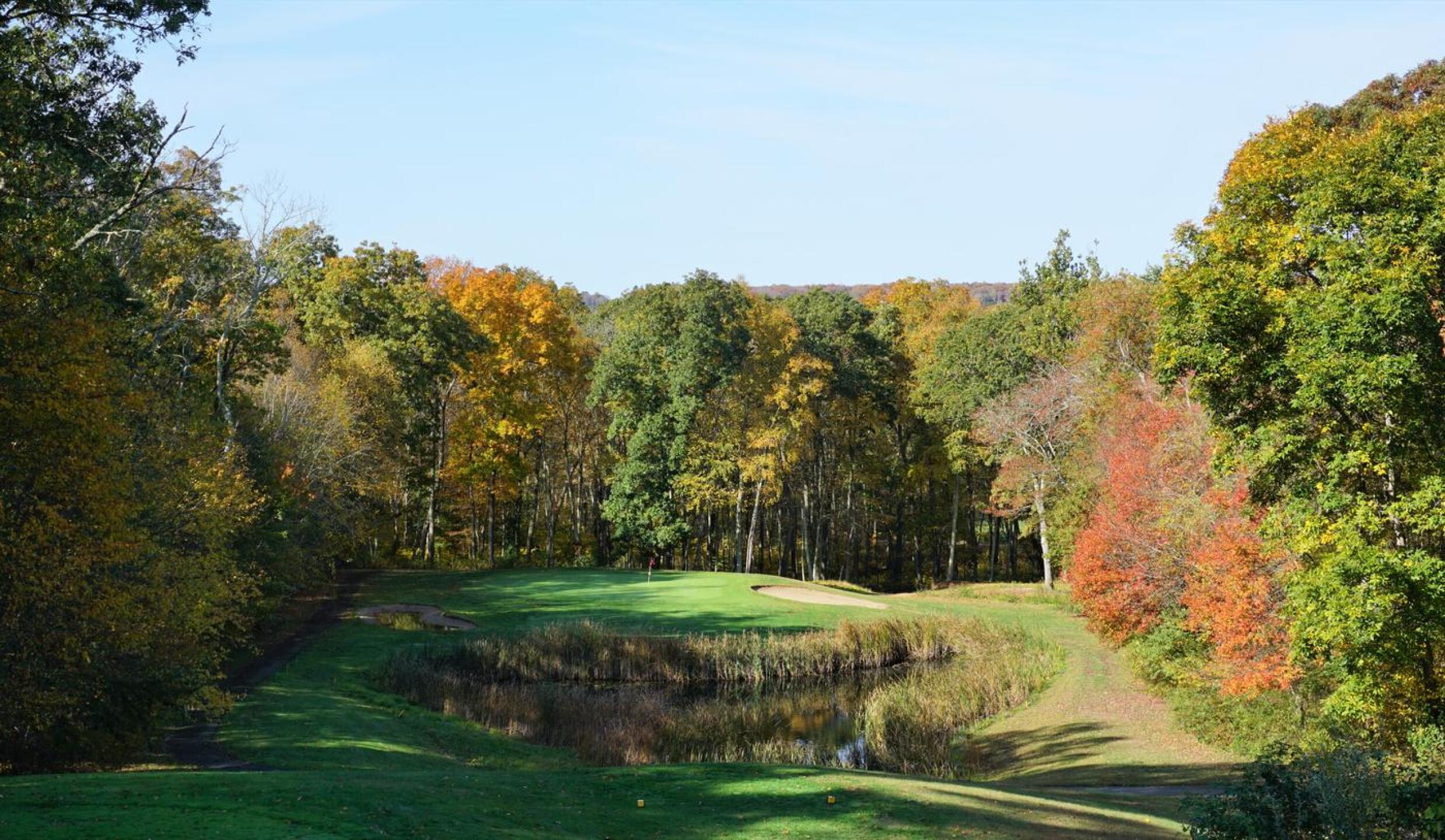 Five is an impressive downhill par-3. (Photo submitted by AptlyLinked on 10/18/2020)