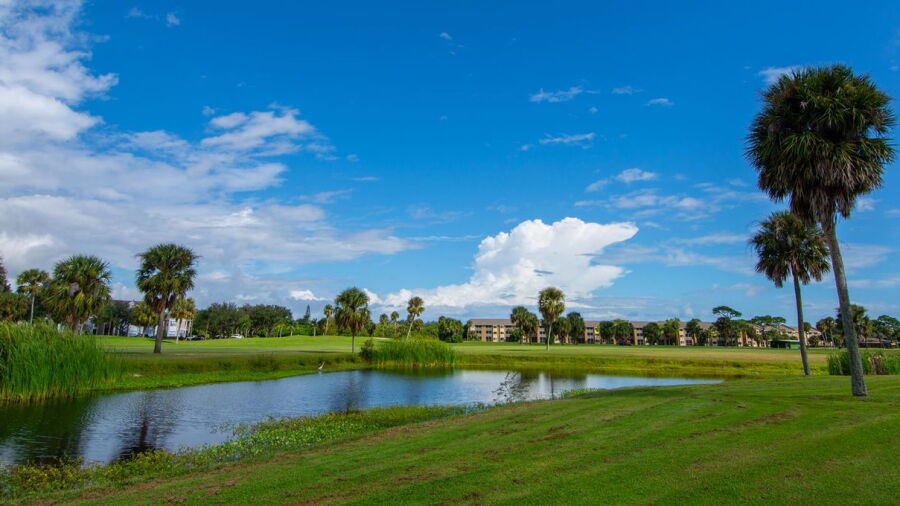 Mallards Landing GC