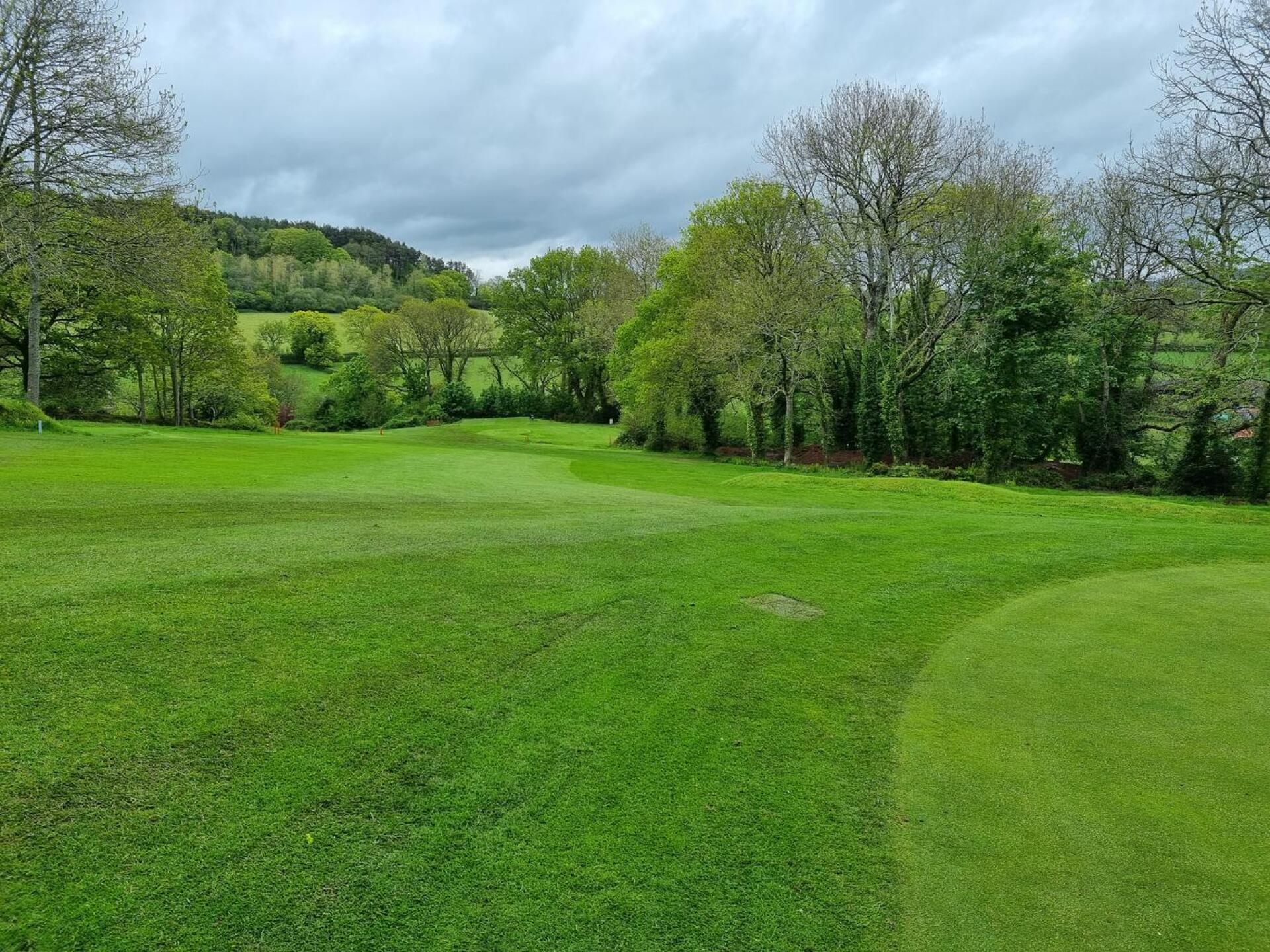 (Photo submitted by u314160670245 on 05/21/2021)