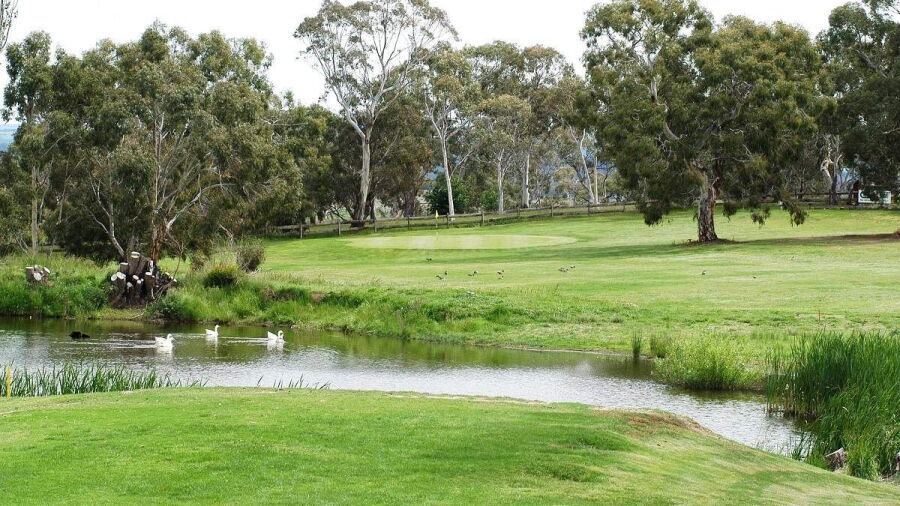 Cooma GC
