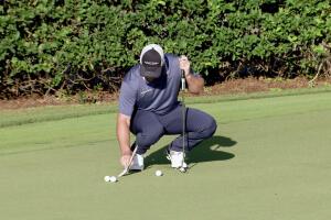 Paintbrush Putting Thought