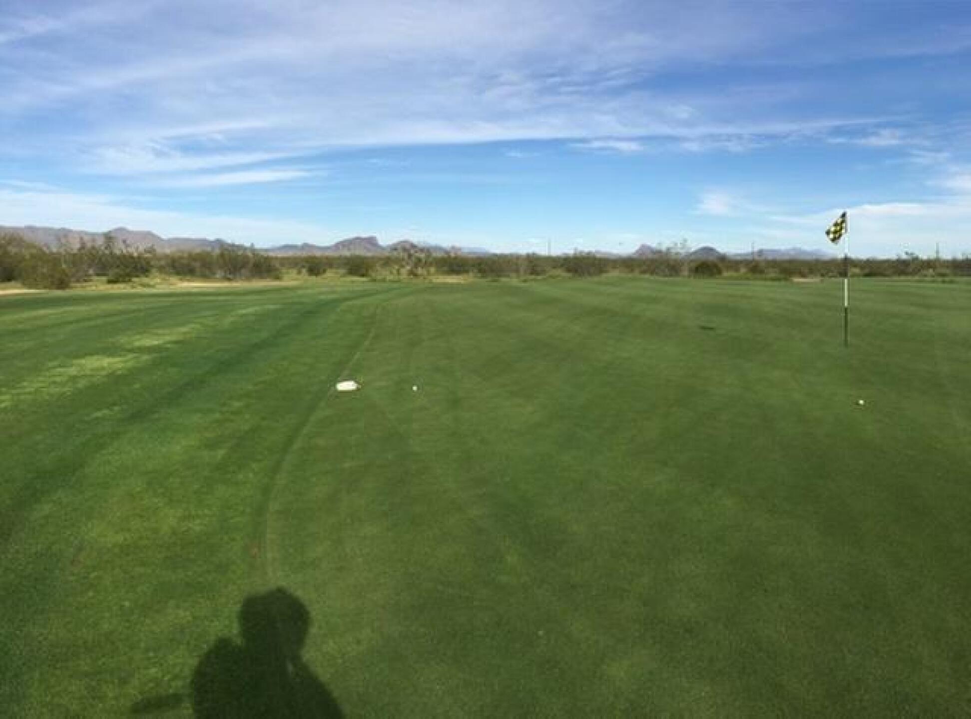 (Photo submitted by sfdc76 on 03/15/2020)