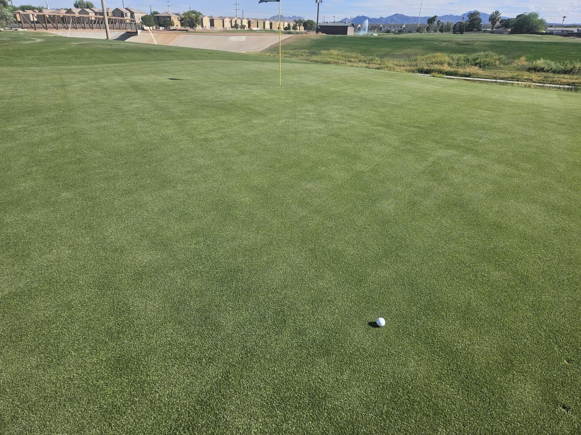 (Photo submitted by u314161622535 on 08/27/2025)