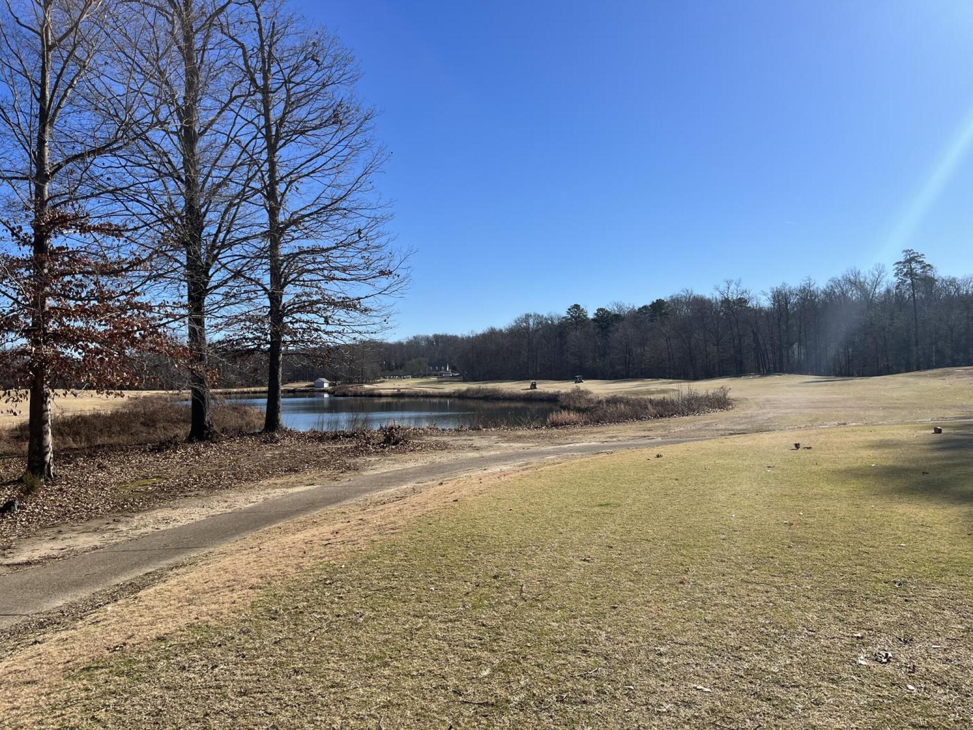 (Photo submitted by RRossi on 12/16/2023)