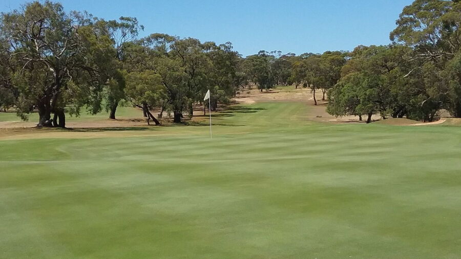 Tanunda Pines GC