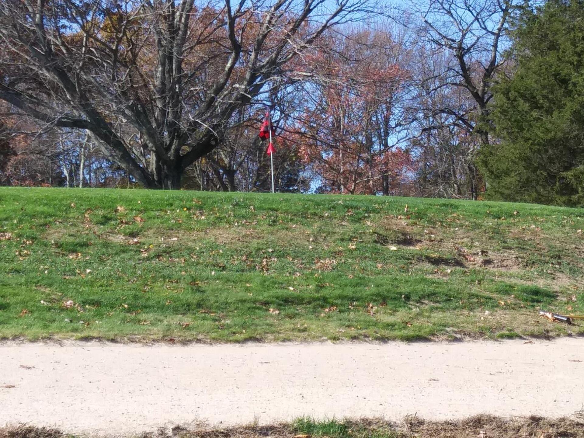 Greenside bunker at eight (Photo submitted by AptlyLinked on 01/03/2020)