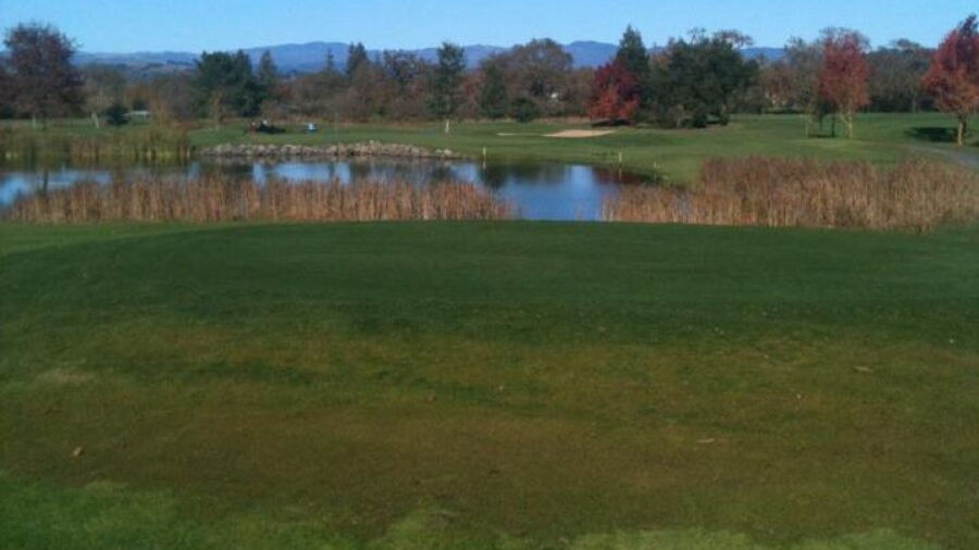 Windsor GC: #13