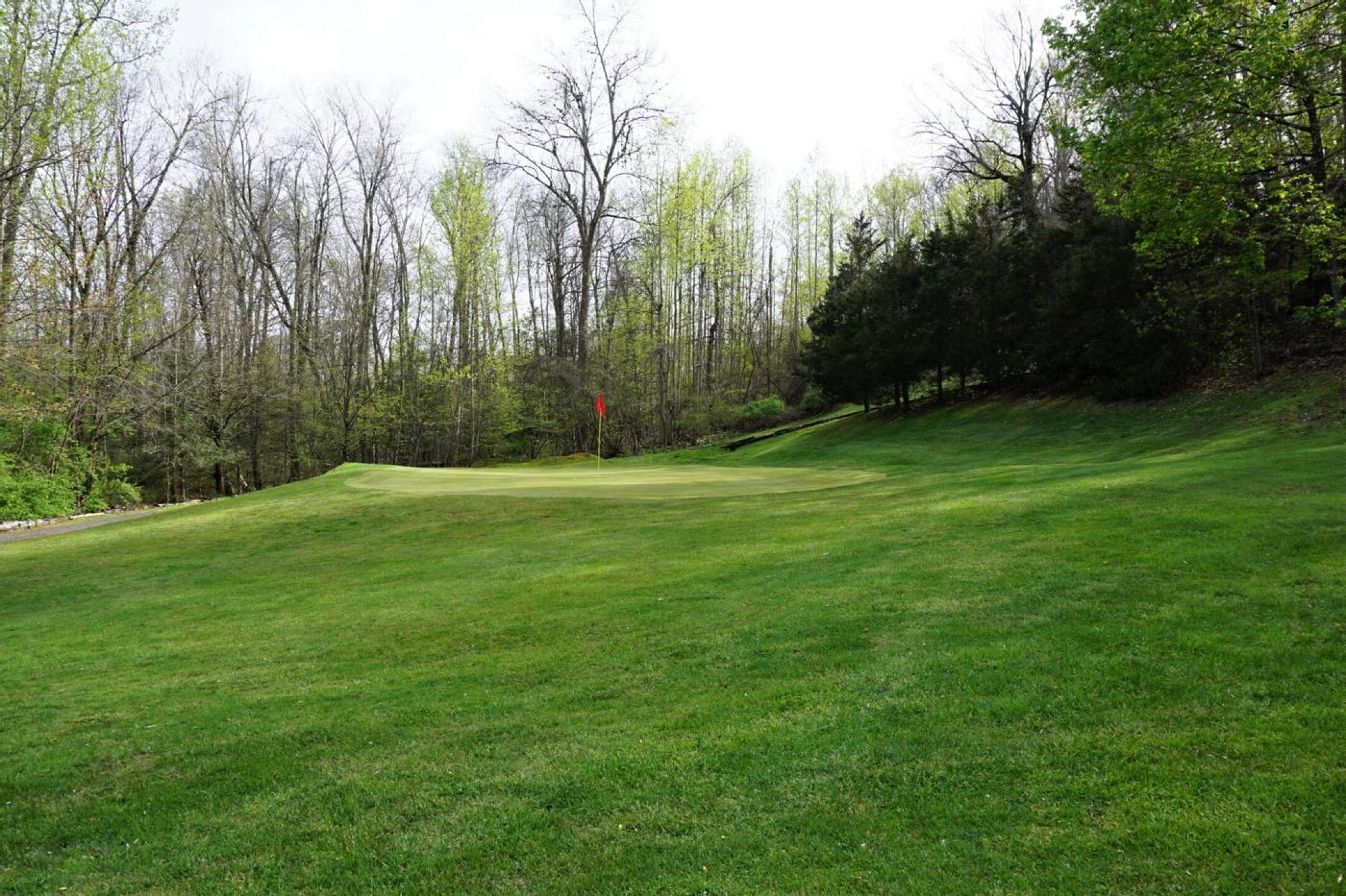 The fourth travels through a corridor of trees to this green. (Photo submitted by AptlyLinked on 05/06/2022)