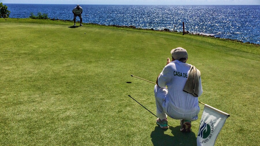 Teeth of the dog - caddies