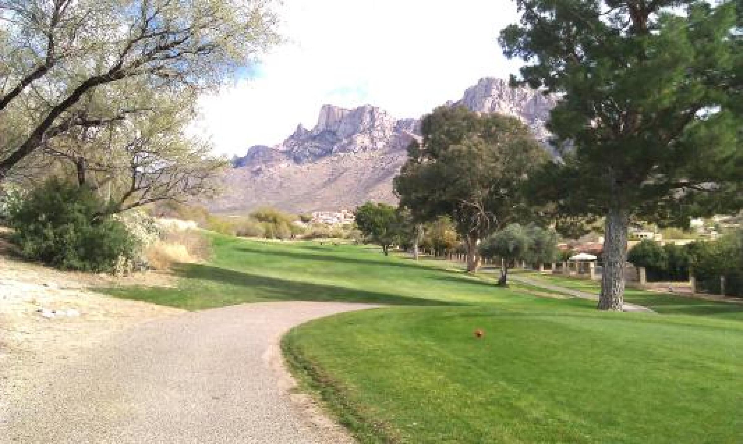 #3 tee box (Photo submitted by saluki100 on 01/26/2013)