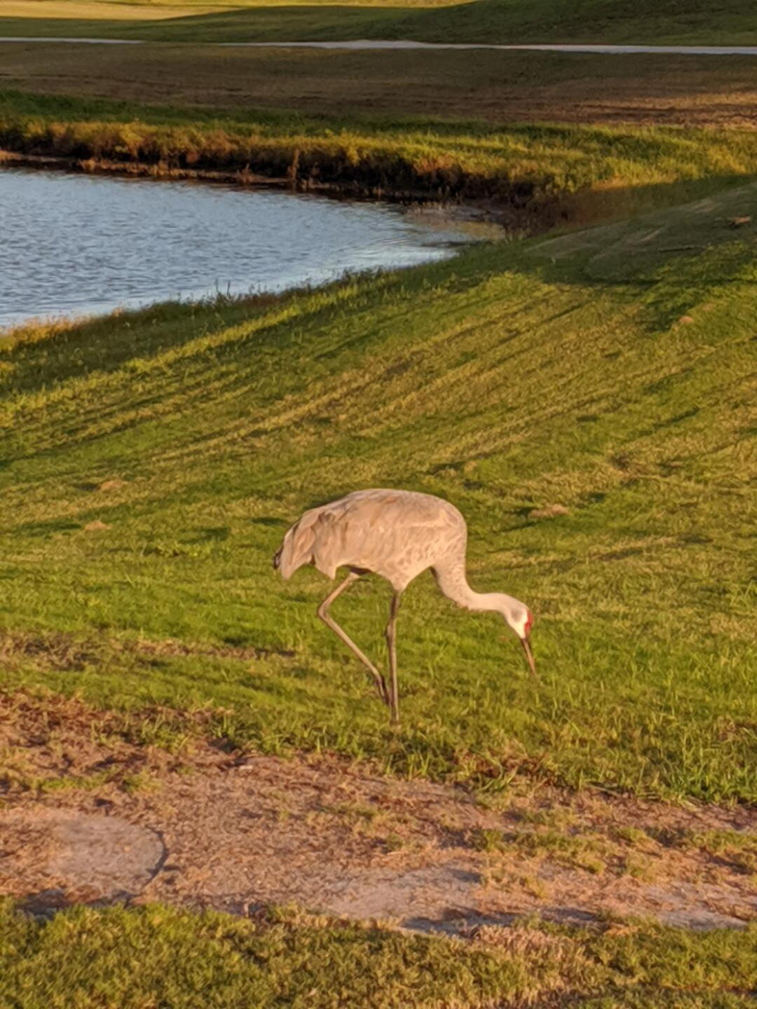 Very serenic (Photo submitted by mdRiw2wyxC6RvIAiMdQo on 11/24/2019)