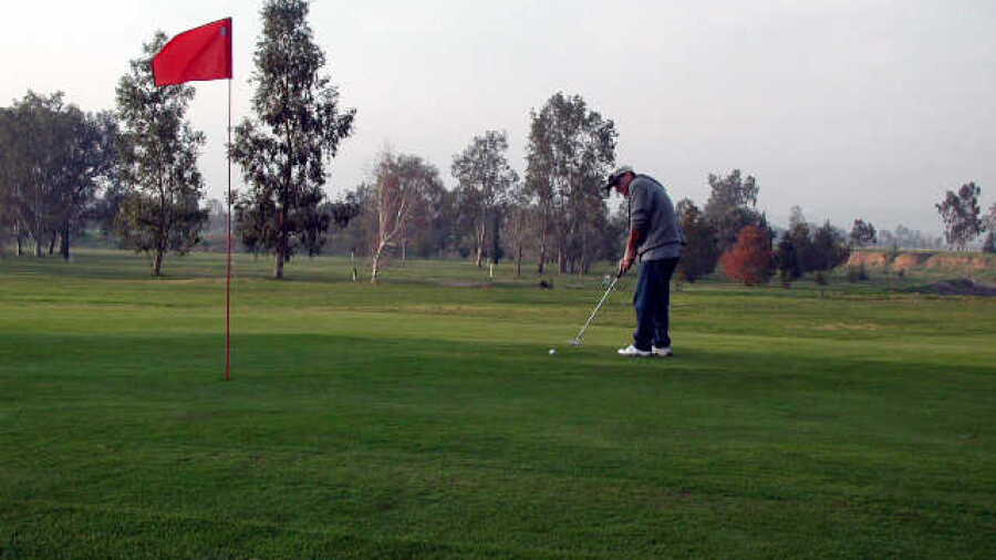 Forebay GC: #9