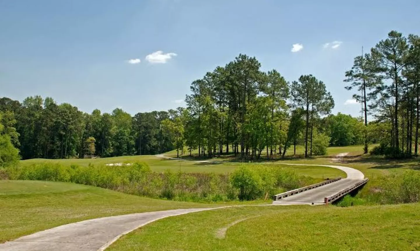 Brazells Creek at Gordonia