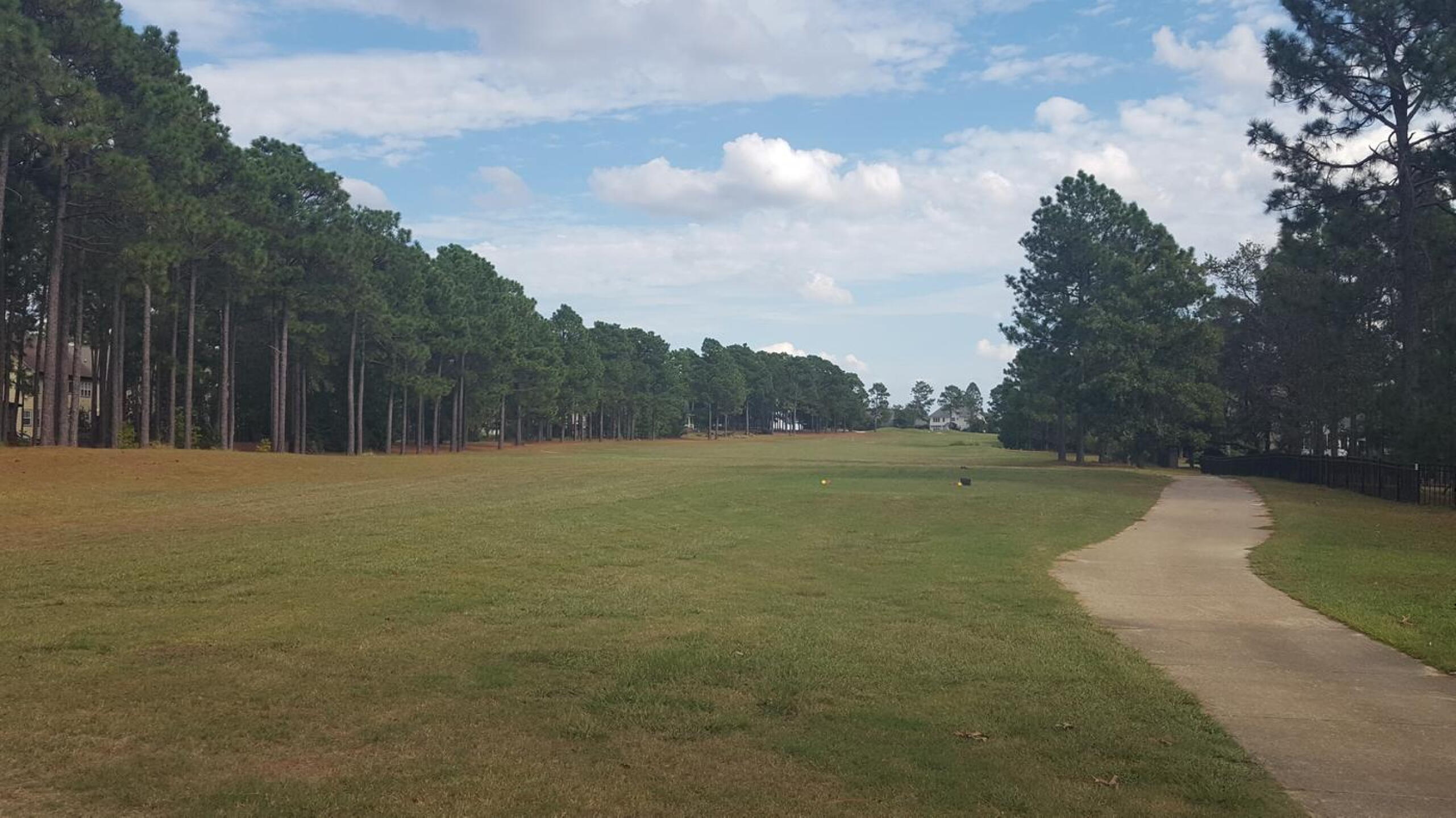 tree lined fairway (Photo submitted by ShannonSheltonEA on 10/03/2018)