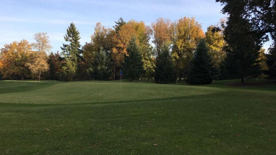 Kohl Creek GC: #6