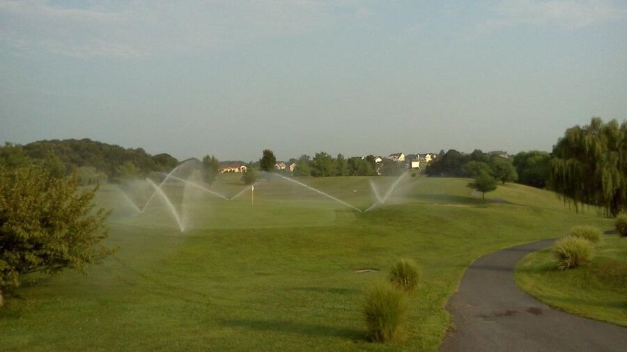 Sly Fox GC: #9
