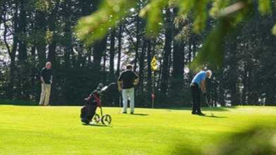 Habichtswald GC: #13