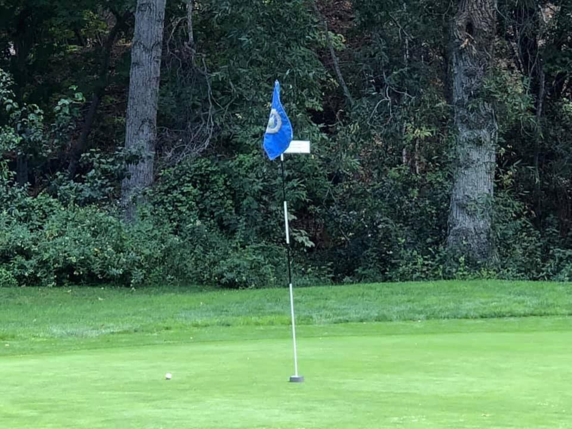 Hole with a ring, easy put and chip-in (Photo submitted by hungkait on 08/15/2020)