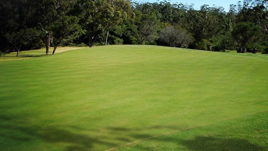 Wedgewood Park CC