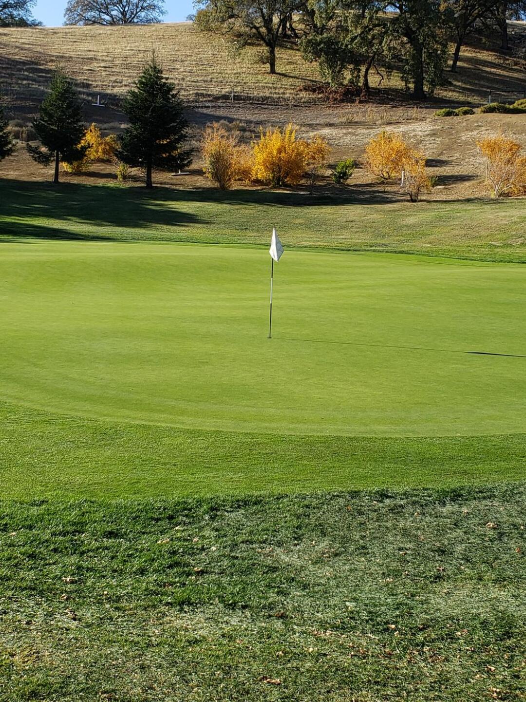 Par 5 7th isn't hard - til you reach the green! (Photo submitted by schreibee on 12/03/2020)