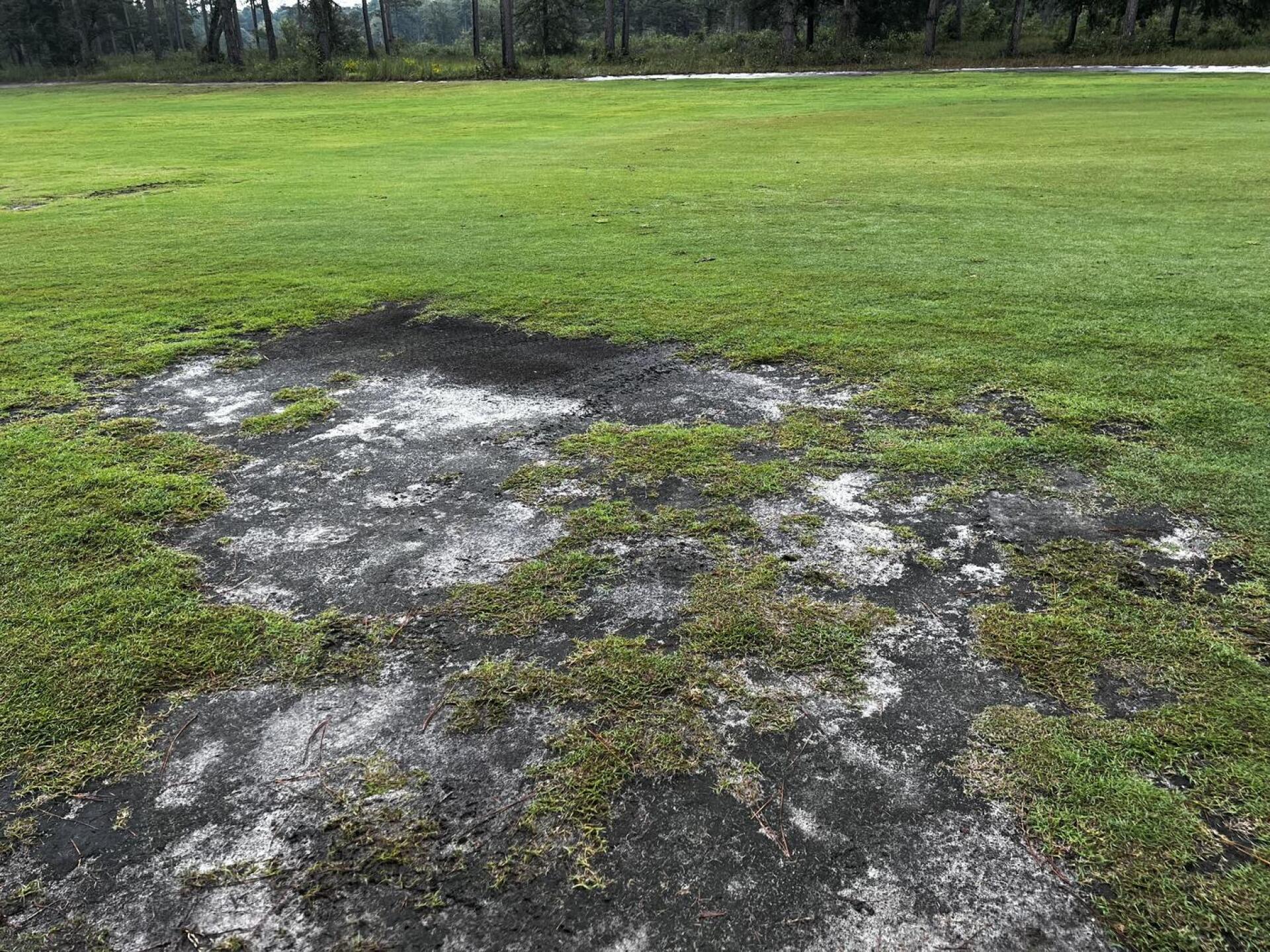 (Photo submitted by ecseps on 09/21/2023)