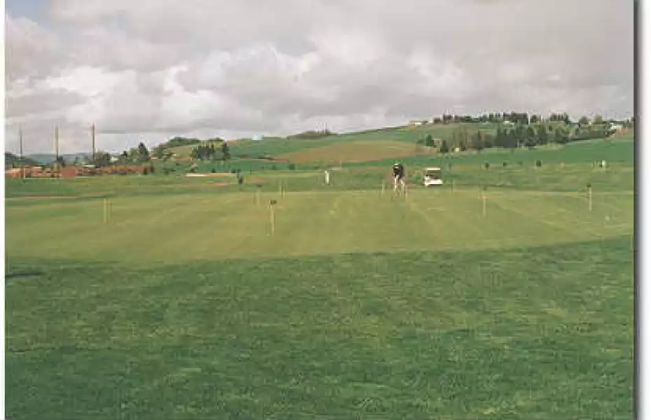 Quail Valley Putting Green
