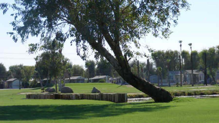 Desert Trail RV Resort & GC
