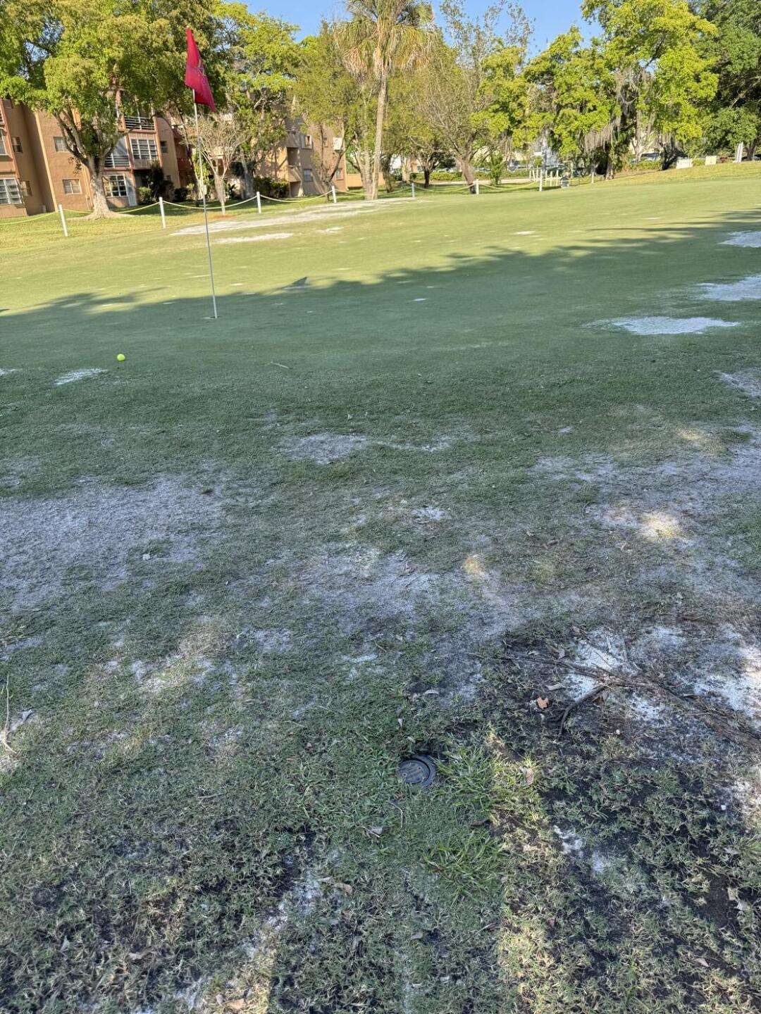 (Photo submitted by george3826 on 03/28/2026)